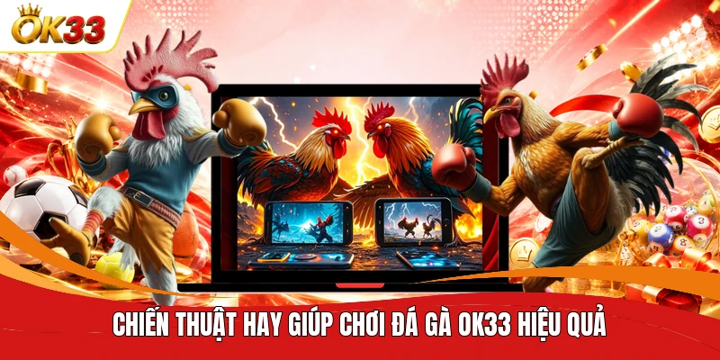 Chiến thuật hay giúp chơi đá gà OK33 hiệu quả
